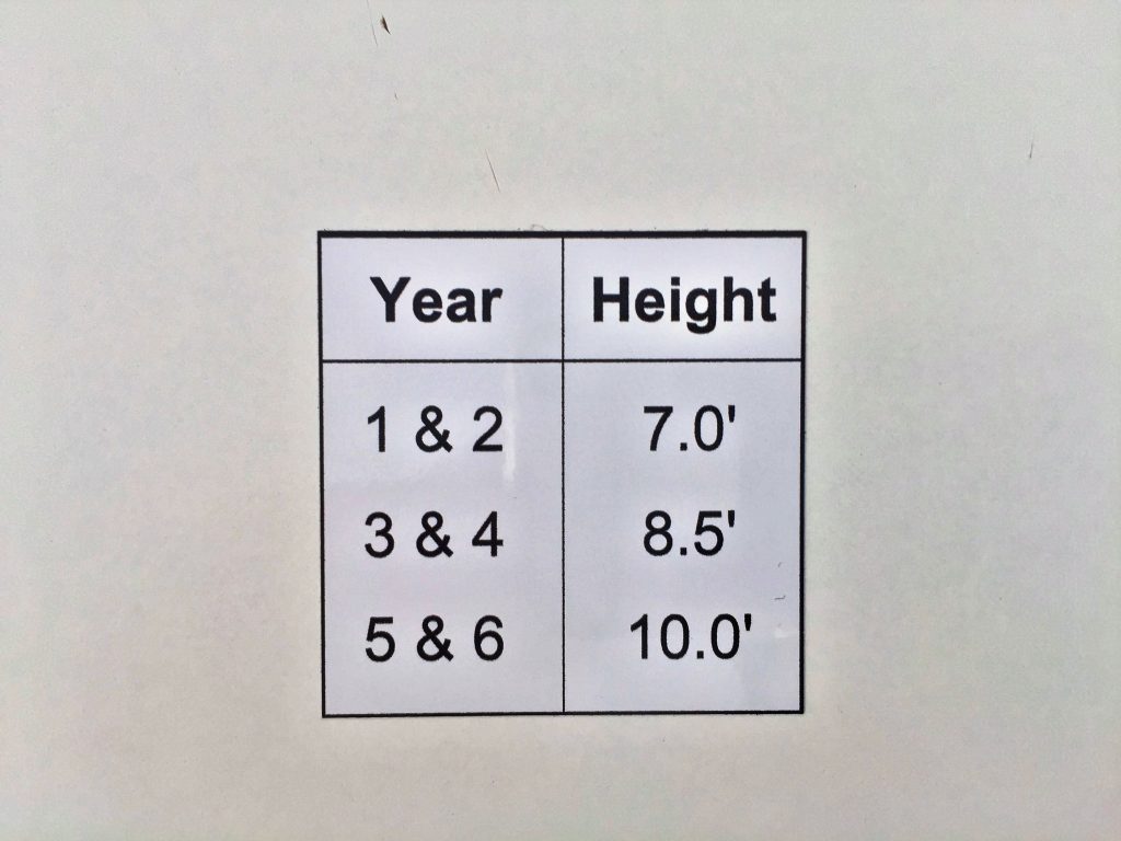 Decal Year / Height Airtime Hoops